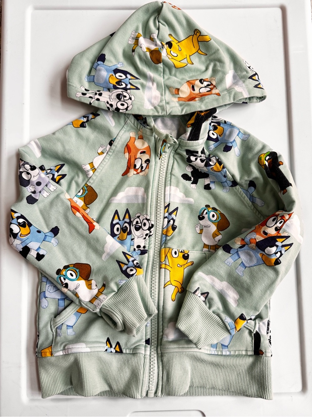Little Sleepies Bluey Mint Green Zip Hoodie